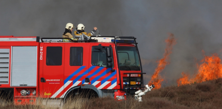 Grote heidebrand Park De Hoge Veluwe in Hoenderloo